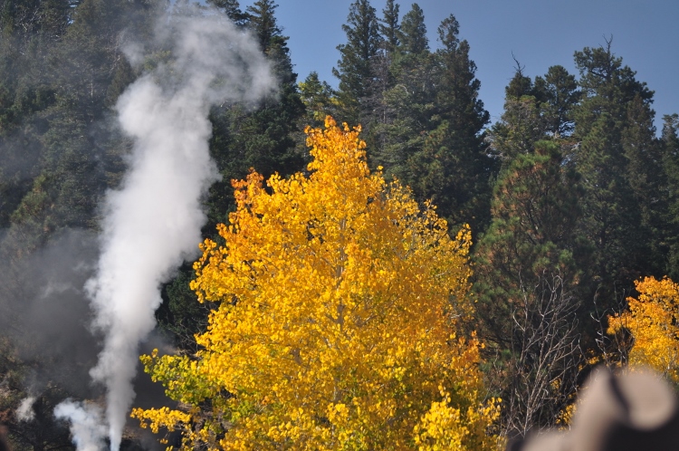 train through autumn colors